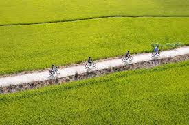 Hoi An Bicycle Tour 1 Day Tra Que Village